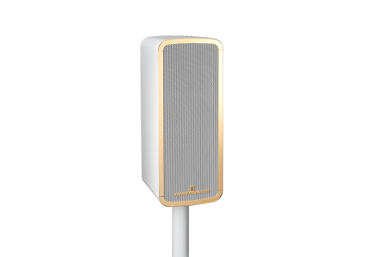 Marine Speaker Angled