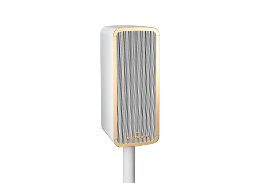 Marine Speaker Angled